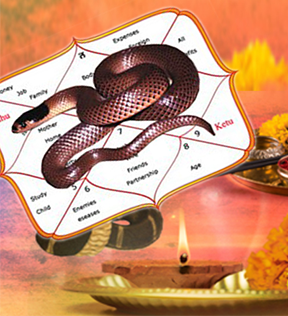 Kaal Sarp Dosh Puja